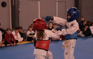 st gervais stage karate 596.JPG