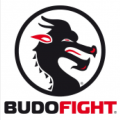 BUDOFIGHT PARIS